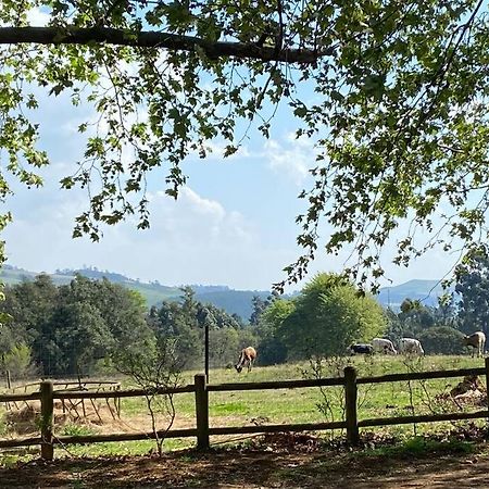 Yellowwoods Farm - Willoughbys Cottage And Old Stables Cottage Curry's Post Экстерьер фото