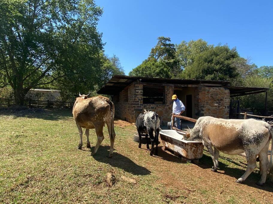Yellowwoods Farm - Willoughbys Cottage And Old Stables Cottage Curry's Post Экстерьер фото