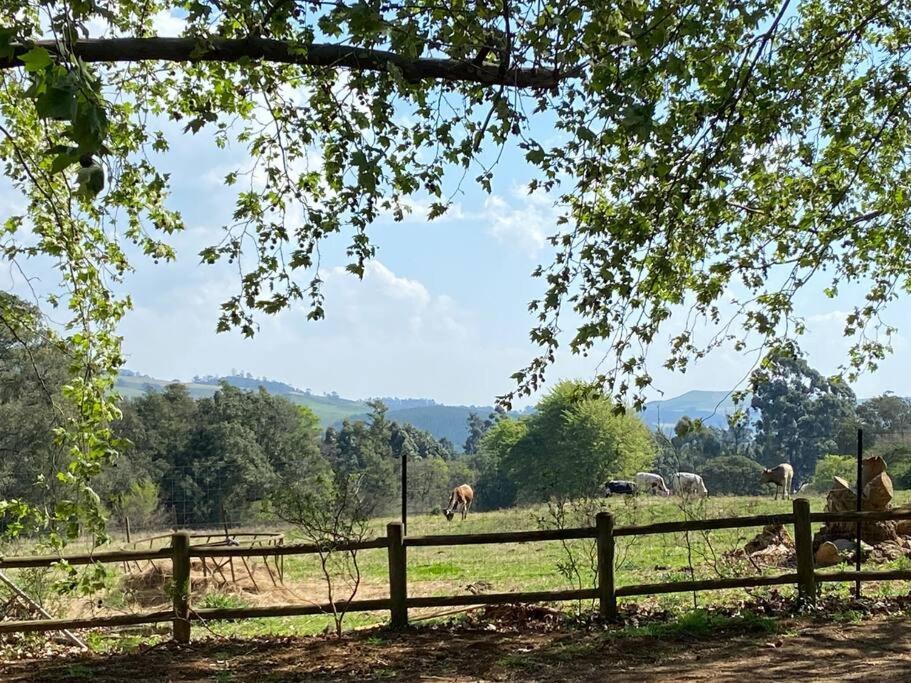 Yellowwoods Farm - Willoughbys Cottage And Old Stables Cottage Curry's Post Экстерьер фото