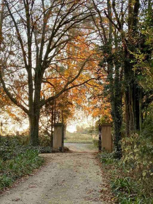 Yellowwoods Farm - Willoughbys Cottage And Old Stables Cottage Curry's Post Экстерьер фото